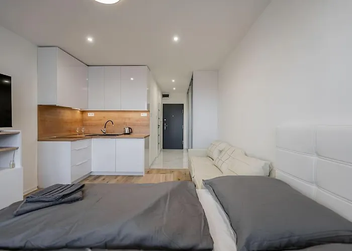 J Komfortny Na Skok Od Centra Apartament